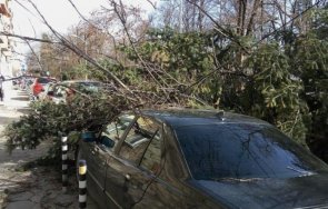 клони стовариха паркиран пловдив автомобил