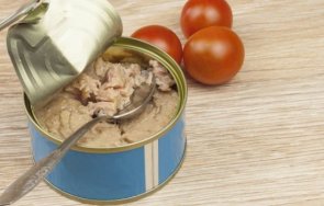 бабх уверява българия металната риба тон консерви