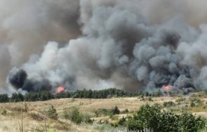 хлапе години подпалило вилната зона харманли