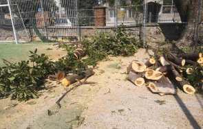 скандал пловдив унищожиха игрище хокей трева снимки