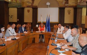 дървета храсти деформирали оградата границата