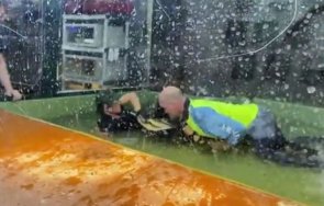 алигатор нападна сътрудничка център влечуги сащ погледа деца