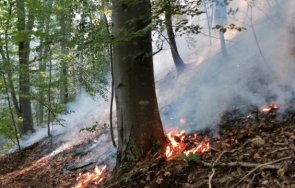 аларма пожарът стигна 500 югово спешно търсят доброволци снимки