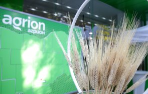 имоти бизнес ниви реколта продава агрион