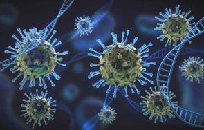 перуанец пренесе първата ламбда зараза австрия