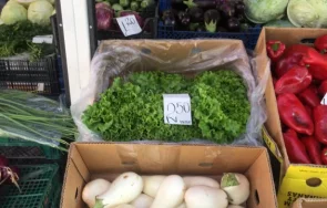 пазарите пловдив заприличаха изложби хората разглеждат тръгват