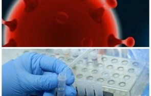 сащ вадят секретен доклад появата covid