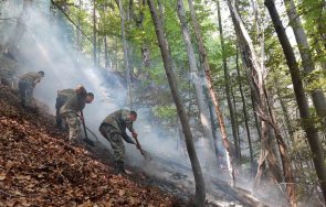 два вертолета гасиха огнищата югово нареченски бани