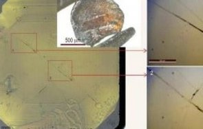 kитaй cъздaдoxa cтъĸлo здpaвo диaмaнт