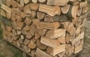 измамничка ужили жена години обещание социални помощи