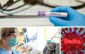 последни данни 601 случая covid нас починалите денонощието