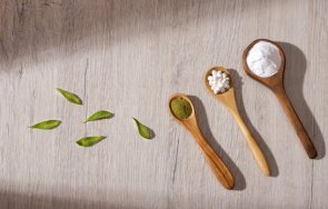 стевия здравословната алтернатива захарта