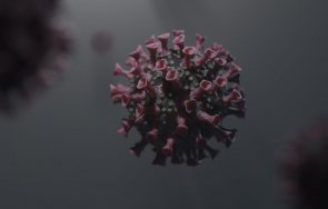 389 новите случаи заразени делта варианта sars cov