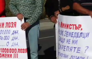 лозари блокираха пътя поморие каменар заради цените гроздето