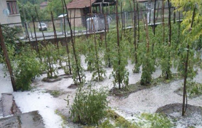 убитите градушката стопани пловдив блокираха път чакат бозуков