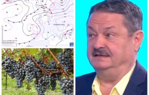 проф георги рачев гореща прогноза времето отлична новина трапезата очаква вино ракия