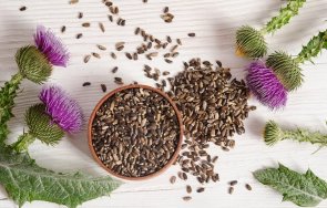 причини започнете приемате билката бял трън