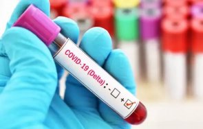 ръст пациентите коронавирус сирия