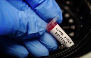 индия откриха човека симптоми смъртоносния вирус nipah