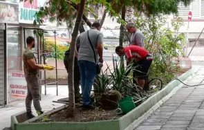 шок фекална помпа извадиха човешки останки градинката дома готвача дичев видео