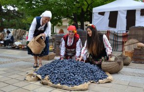 отменят фестивала синята слива троян