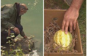 екобедствие пазарджишко река луда яна потече зелена поливаните нея градини масово съхнат