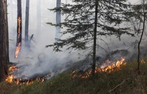 пламнаха труднодостъпни гори доспат