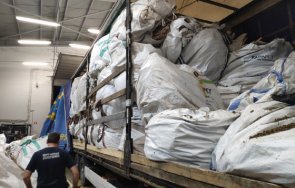 задържаха 4580 индустриален коноп снимки