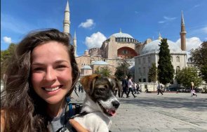 Николет и Свили