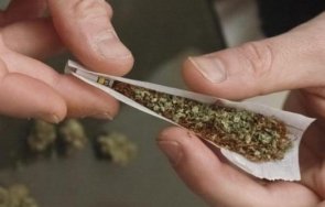 полицията търново разби три депа пласмент наркотици