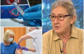 домашните любимци подходящи алергични стопани