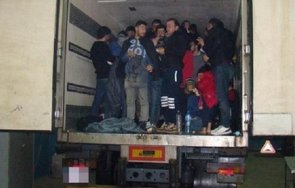 решетки трафикант превозвал афганистанци пакистанци парк росенец