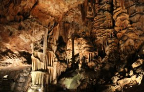 затвориха пещера съева дупка посетители заради карантина служител