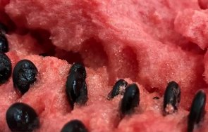 костилки семки плодовете лечебни