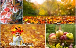 сутринта шарено време хладно утро първи слани слънчево облачно деня карта