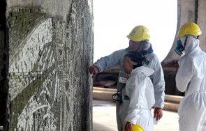 търсят осиновители мозайките бузлуджа