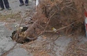 пропаднал път заплашва планински села изолация