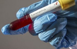 513 са новозаразените с коронавирус у нас за последните 24