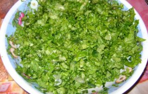 калифорнийският университет разработва ваксина приема салатата