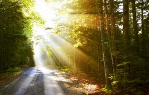 сащ обявиха животни растения изчезнали