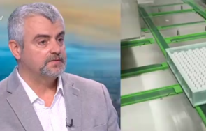 георги миндов пик covid деца пациенти искат фалшиви сертификати