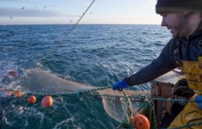 париж призова европейски фронт лондон причината