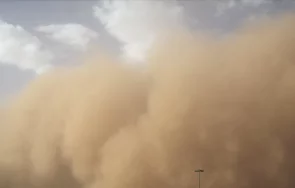 Най малко шестима души са загинали в Бразилия по време на