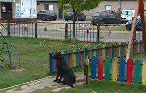 Детска площадка в Перник осъмна с чисто нови къщички за