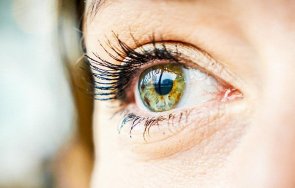 любопитни факти очите