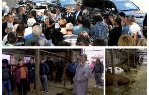 радевият шок животновъди алармират загиваме скъпите фуражи невъзможните цени тока нова година животни