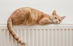 вредно спим пуснато парно