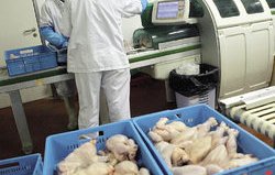 удар предотвратиха ддс измама тона пилешко свинско месо