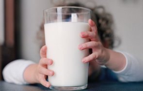 Бързоразвалящите се продукти предназначени за училищните схеми Плод и мляко