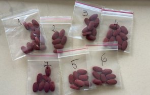 Близо 12 кг таблетки които при първоначален химически тест реагират на сексуален стимулант